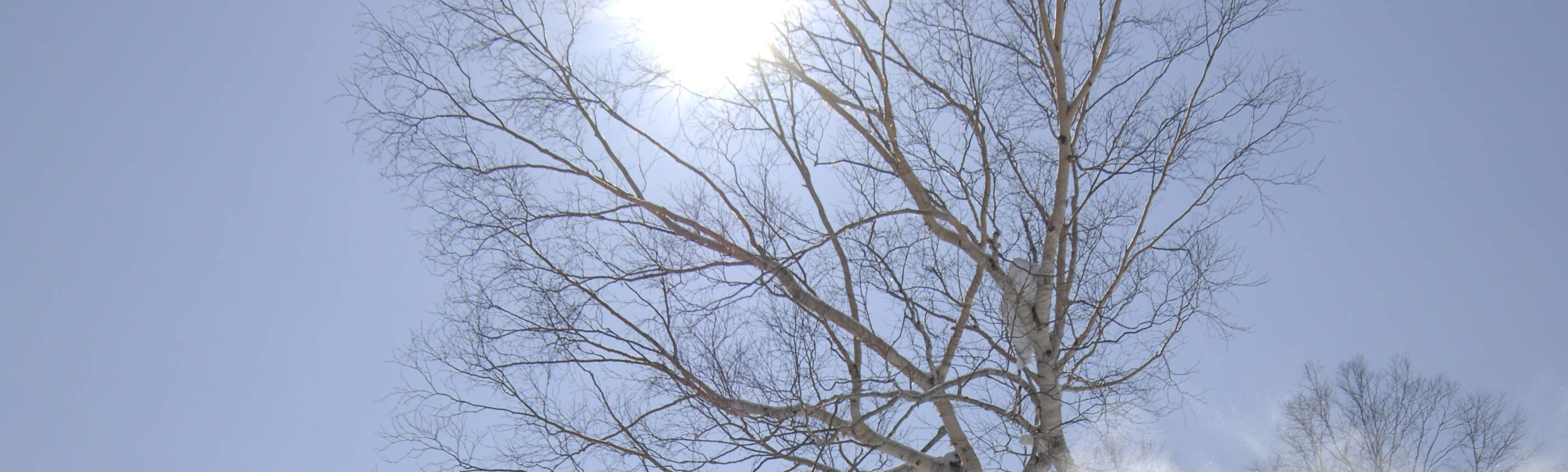 Gói Tomamu SKI khởi hành từ Sapporo